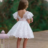 White & Ivory Short Sleeve Knee-Length Flower Girl Dress for Toddlers & Girls - The Little Kitten Boutique