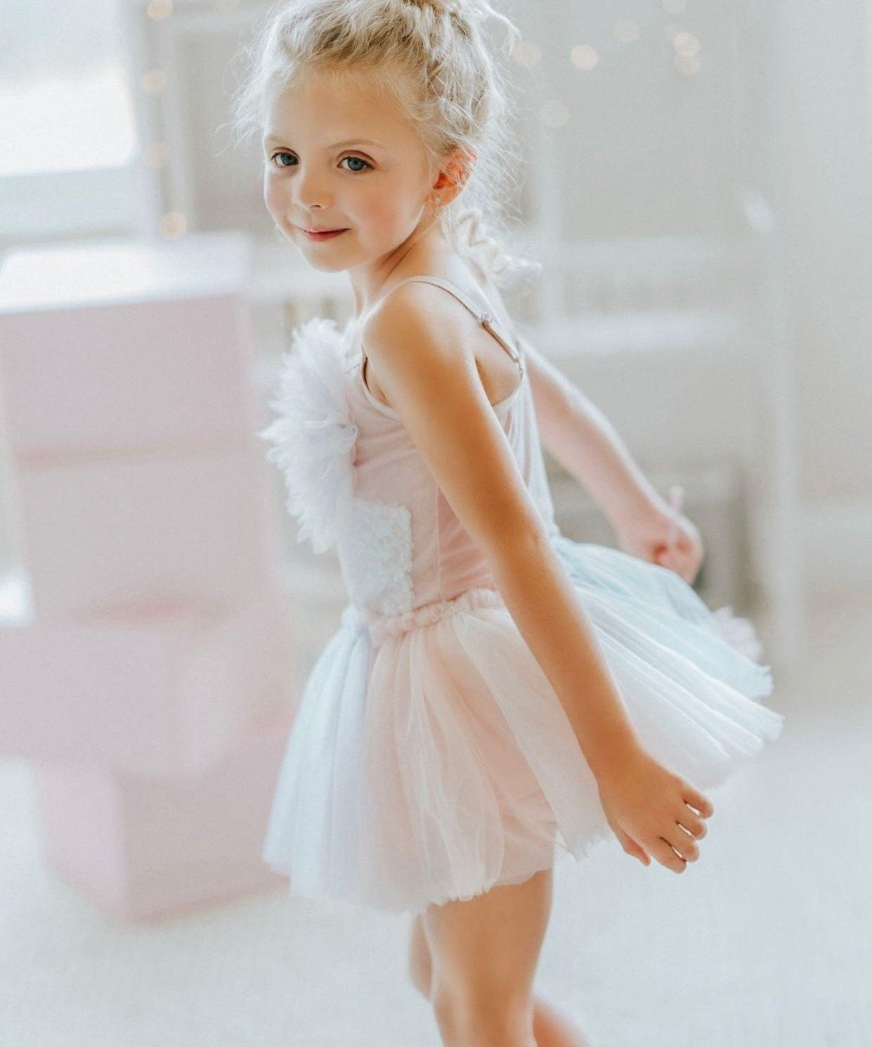 Sugar Plum Fairy Tutu Bodysuit Leotard - The Little Kitten Boutique