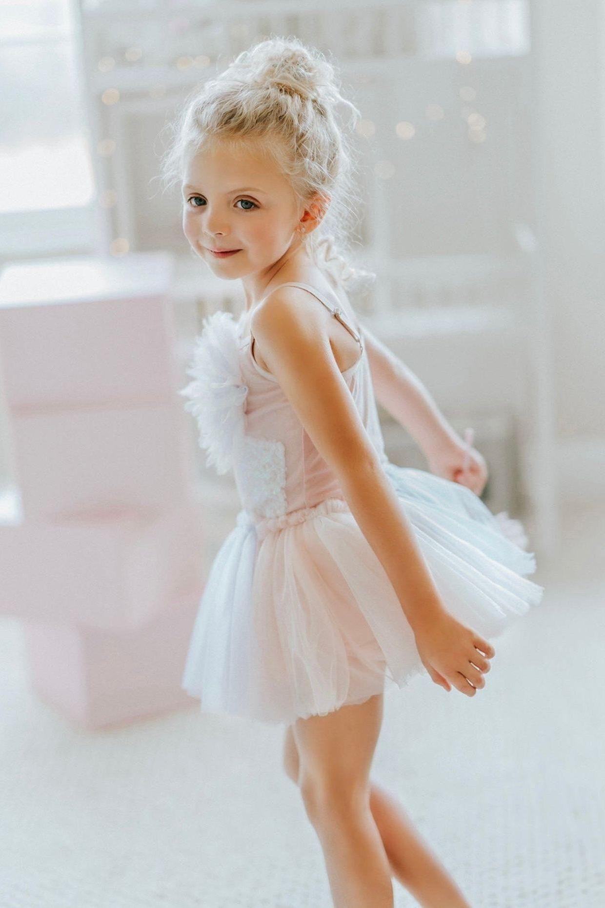 Sugar Plum Fairy Tutu Bodysuit Leotard - The Little Kitten Boutique