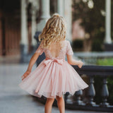 Short Sleeve Lace and Tulle Rose Flower Girl Dress - The Little Kitten Boutique