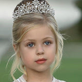 Gold & Silver Crystal Princess Tiaras: One Size Fits All for Kids & Adults - The Little Kitten Boutique