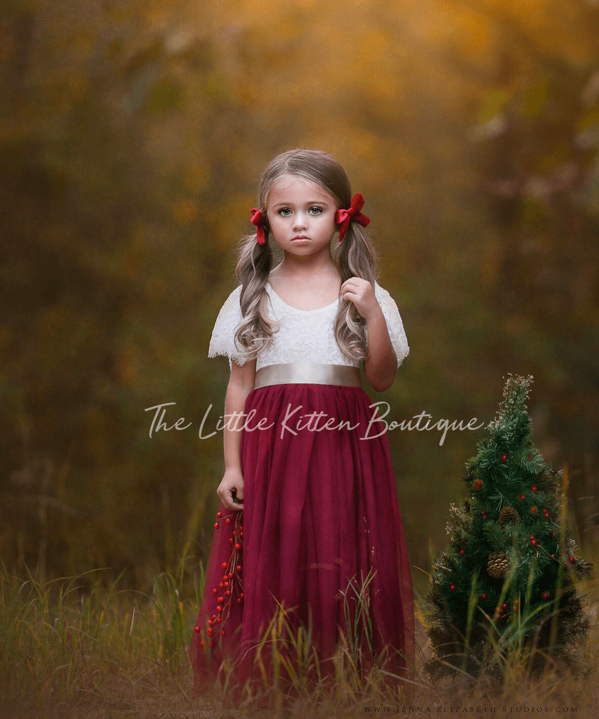 Lace and tulle Flower Girl Dress / Special Occasion Dress with Butterfly Cap Sleeve - The Little Kitten Boutique